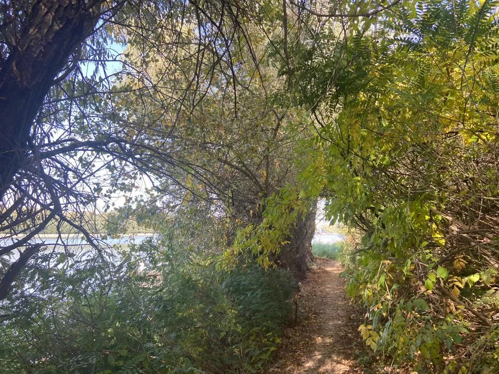 Maeștri în a crea „oaze ale… plasticului”… Malul Dunării, Cernavodă (FOTO) – foto 16