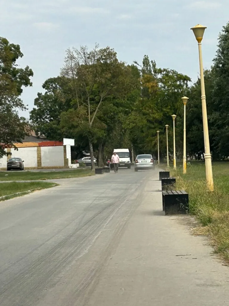 Bunul simț, pe frână. Cu mașina ca pe stradă, pe aleile din Parcul Tăbăcărie (FOTO/VIDEO) – foto 5