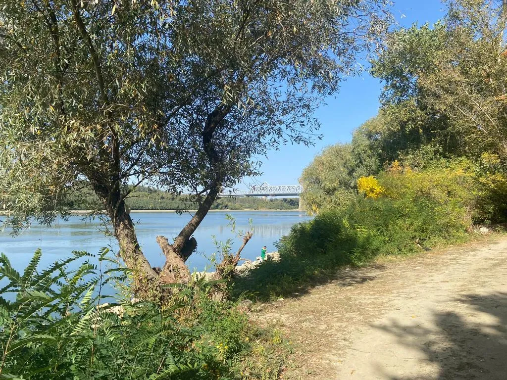 Maeștri în a crea „oaze ale… plasticului”… Malul Dunării, Cernavodă (FOTO) – foto 15