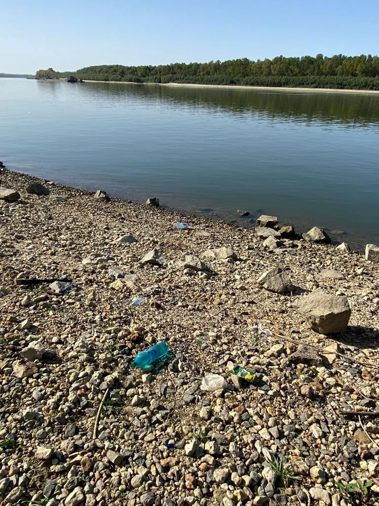 Maeștri în a crea „oaze ale… plasticului”… Malul Dunării, Cernavodă (FOTO) – foto 4