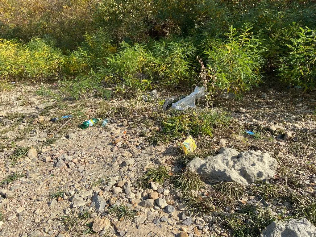 Maeștri în a crea „oaze ale… plasticului”… Malul Dunării, Cernavodă (FOTO) – foto 5
