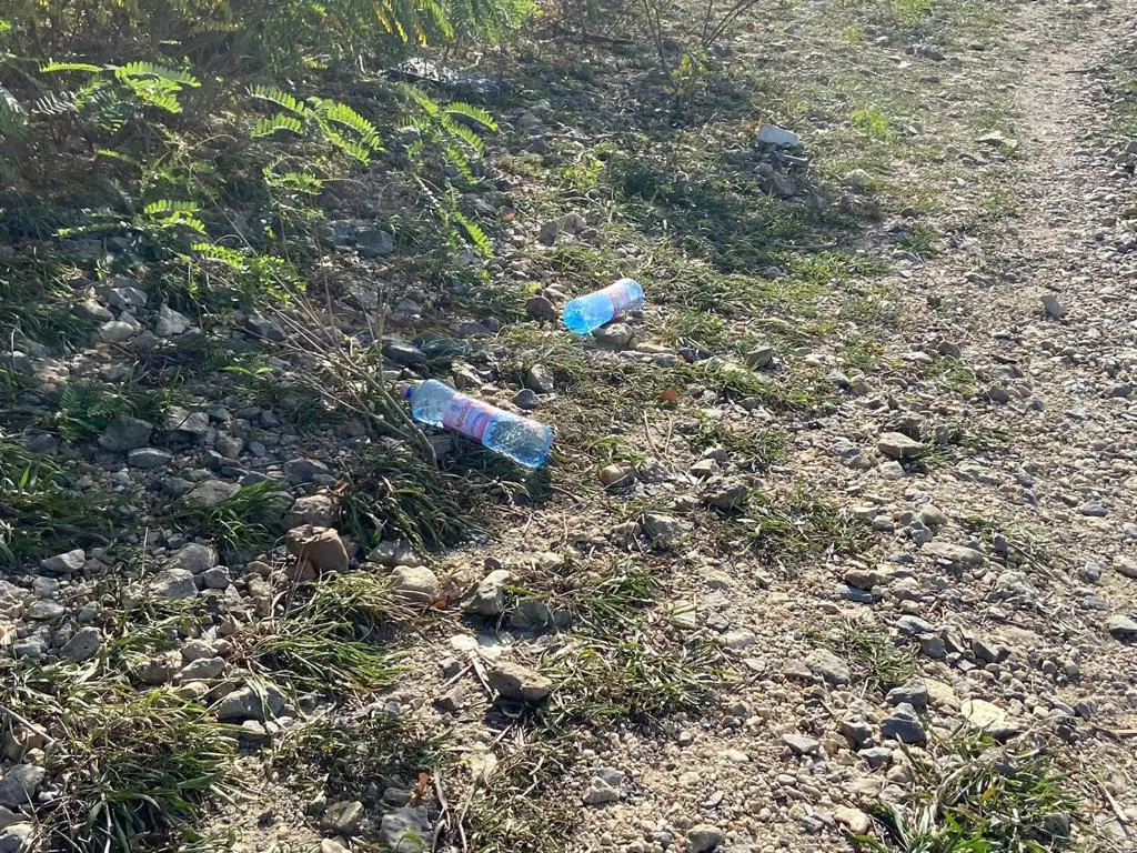 Maeștri în a crea „oaze ale… plasticului”… Malul Dunării, Cernavodă (FOTO) – foto 6