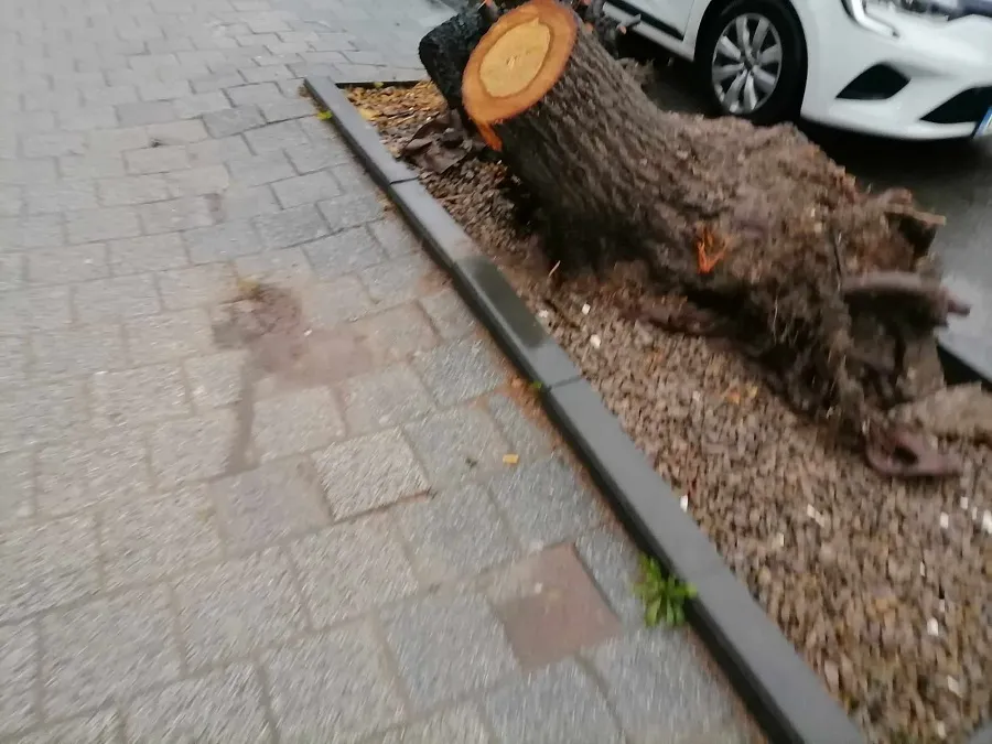Constănțenii, către primărie: „Salvați ce se mai poate!” – foto 3