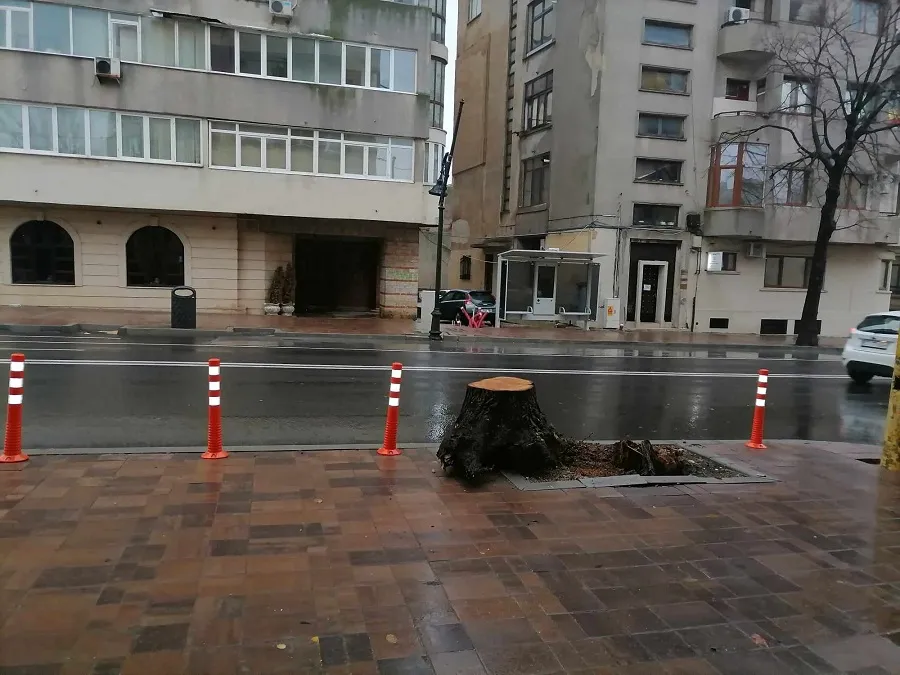 Constănțenii, către primărie: „Salvați ce se mai poate!” – foto 6
