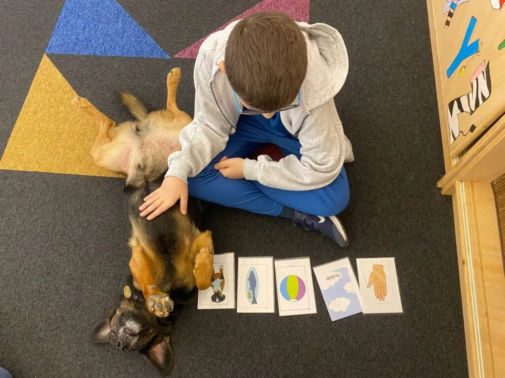 2023, un an bogat în activități pentru Animal Society. 2024, noi perspective și proiecte – foto 2