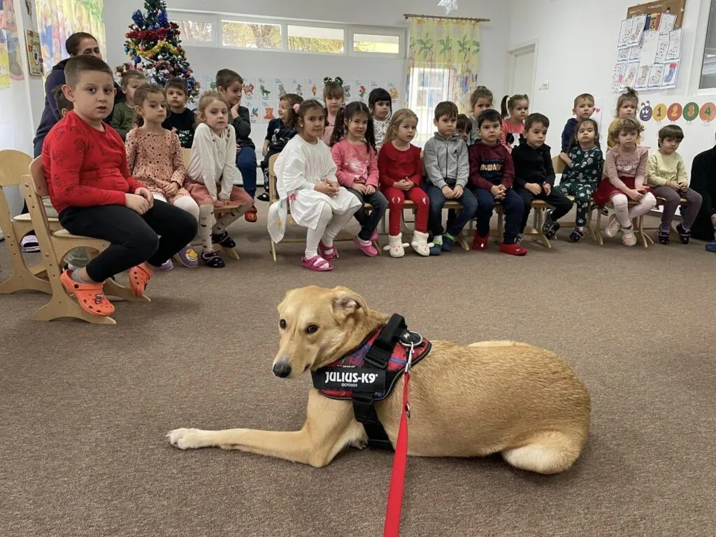 2023, un an bogat în activități pentru Animal Society. 2024, noi perspective și proiecte – foto 4