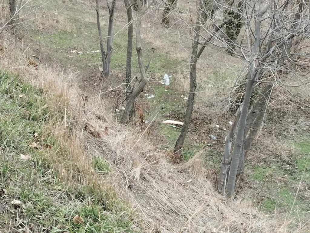 Unii aruncă gunoaie, alții se fac că le strâng – foto 3