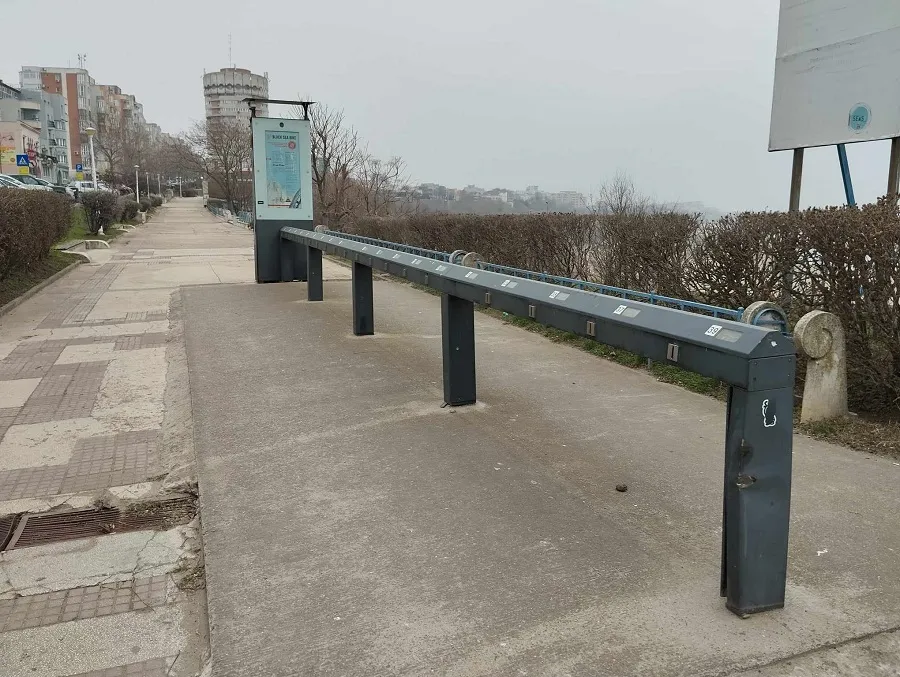 Rugina în prim-plan și marea în fundal – foto 2