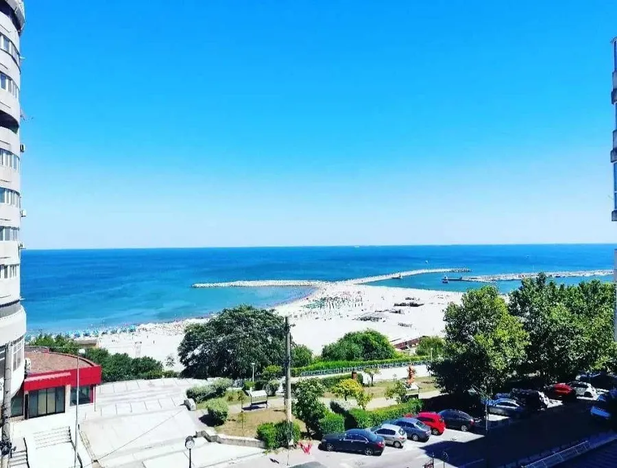 Rugina în prim-plan și marea în fundal – foto 6