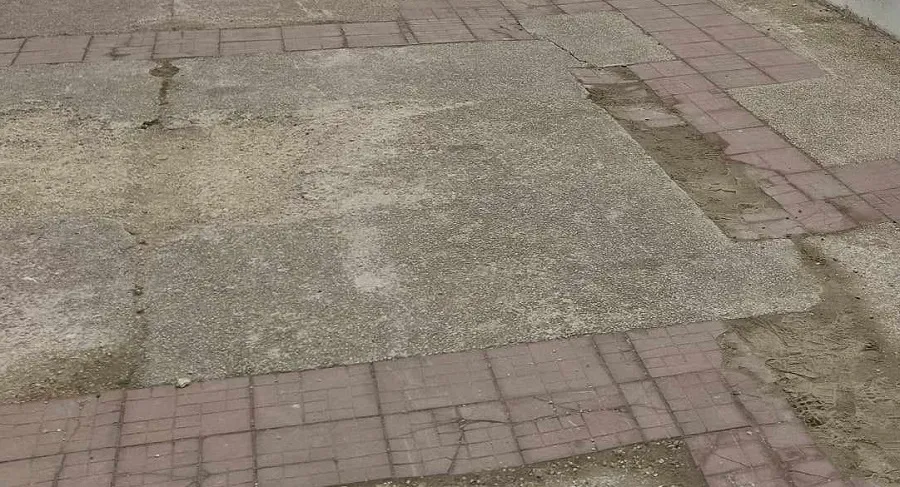 Rugina în prim-plan și marea în fundal – foto 5