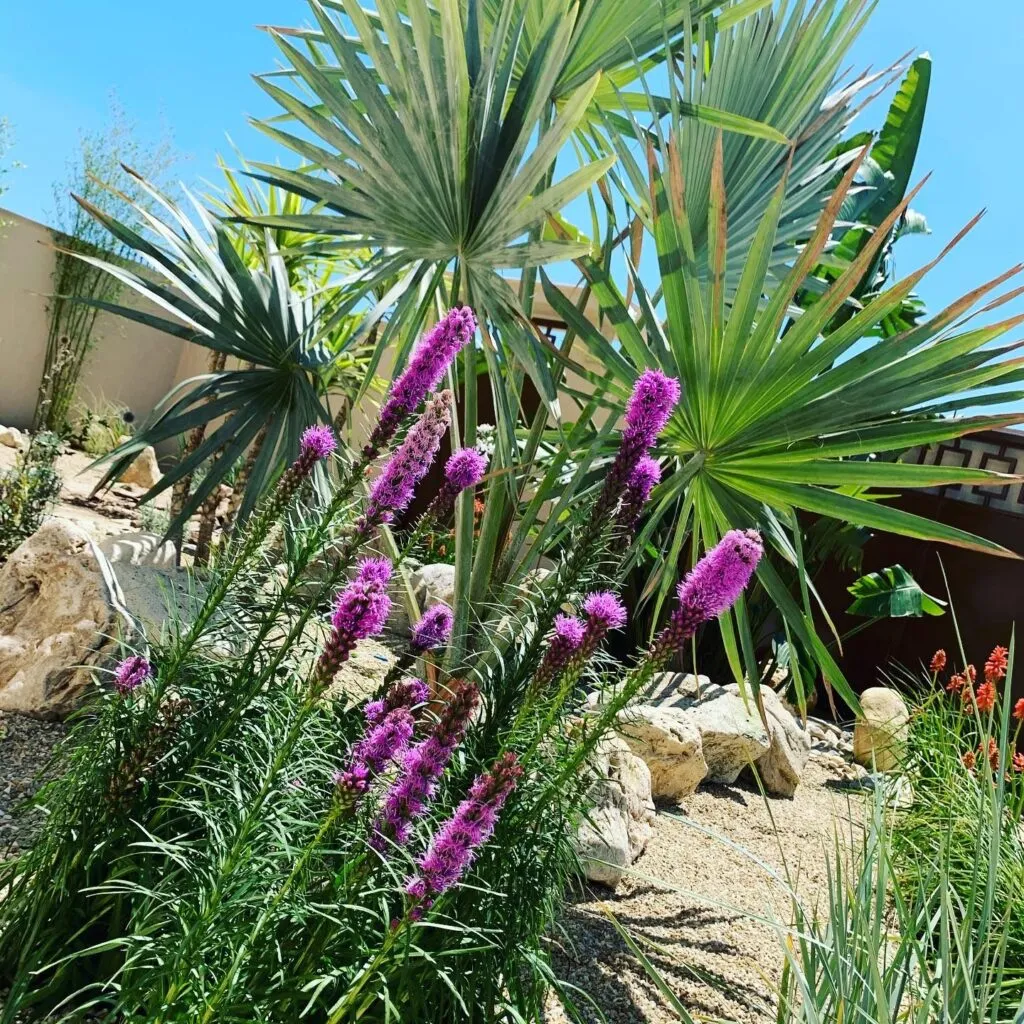 Studio Garden transformă spațiile verzi într-o oază de frumusețe autentică – foto 11