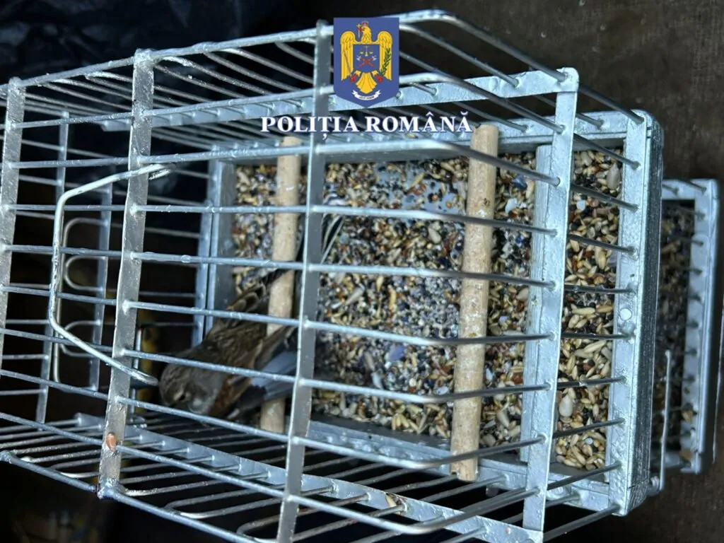 Dosar penal pentru capturarea unor păsări din categoria speciilor protejate (FOTO) – foto 4