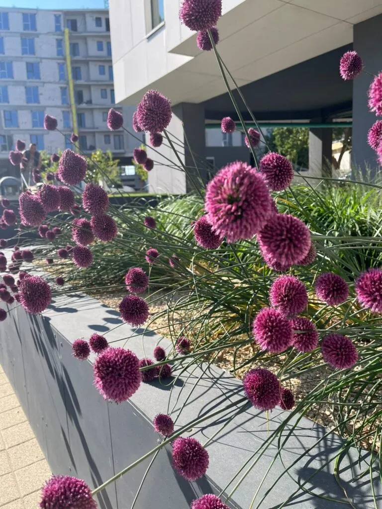 Studio Garden transformă spațiile verzi într-o oază de frumusețe autentică – foto 15