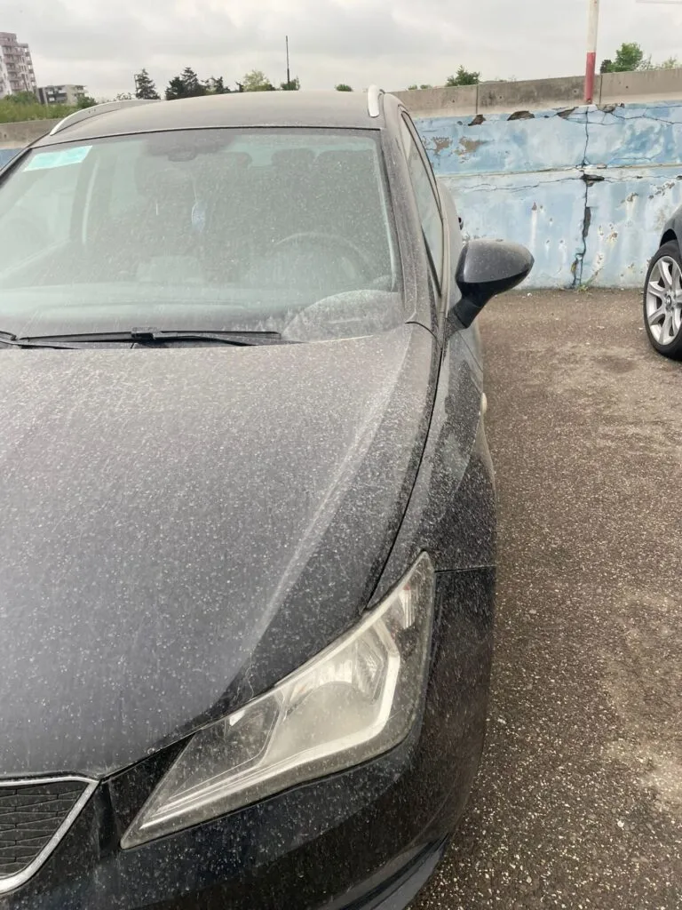 Un nou val de praf saharian peste România (FOTO) – foto 6