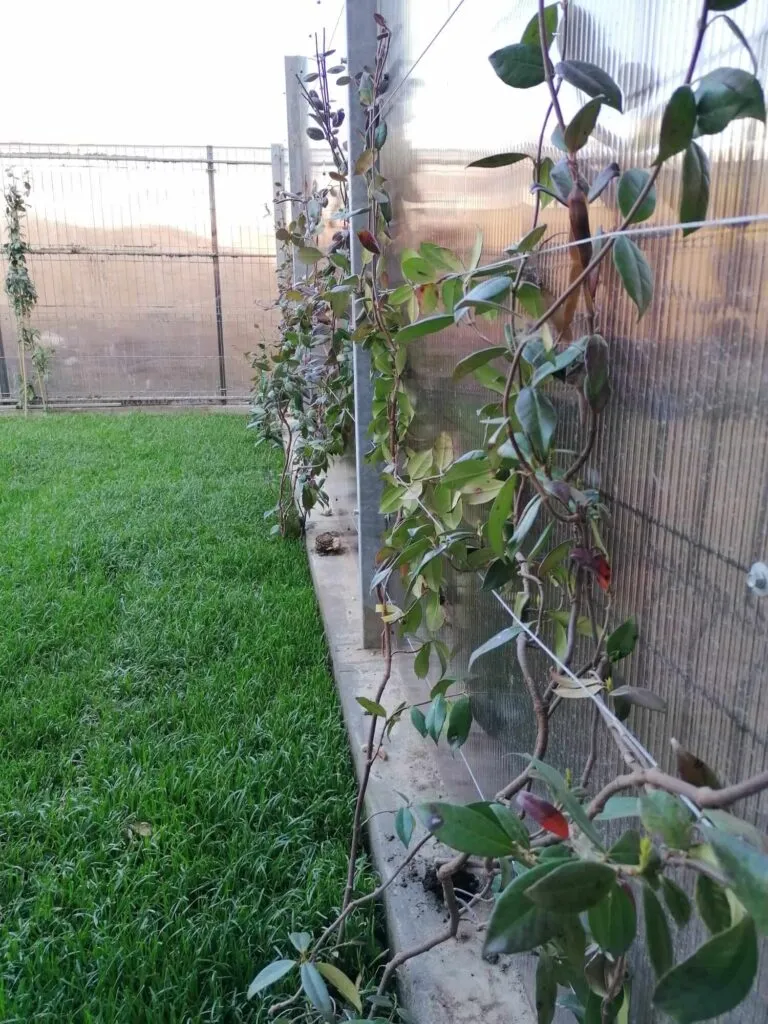 Les Jardins de Zoe – Află cum poate arăta grădina visurilor tale! – foto 5