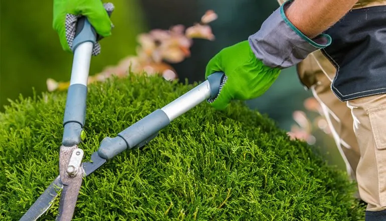 Les Jardins de Zoe – Află cum poate arăta grădina visurilor tale! – foto 8