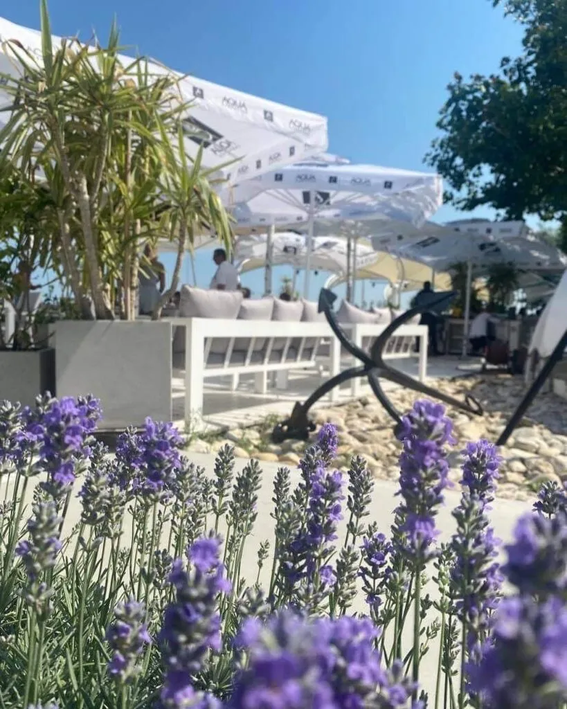 Les Jardins de Zoe – Află cum poate arăta grădina visurilor tale! – foto 9