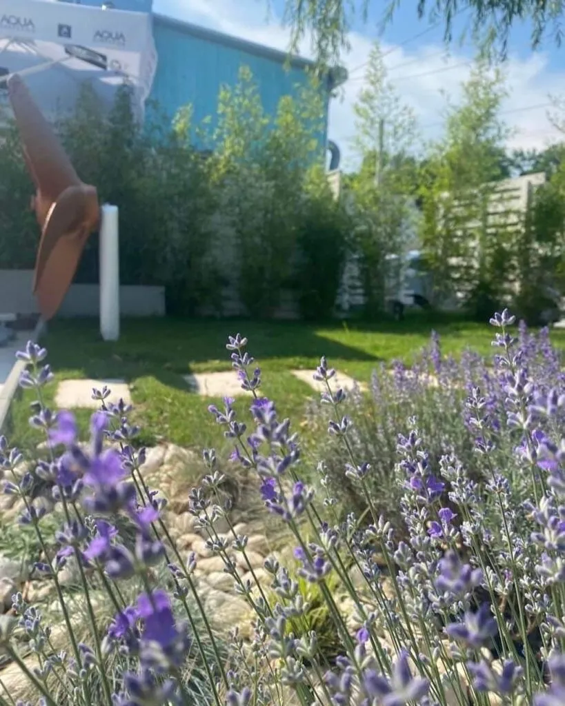 Les Jardins de Zoe – Află cum poate arăta grădina visurilor tale! – foto 10