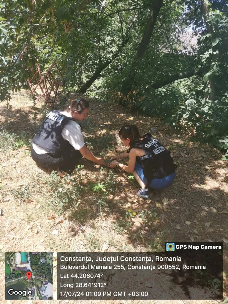 O broască țestoasă dobrogeană, salvată și eliberată în habitatul natural – foto 2