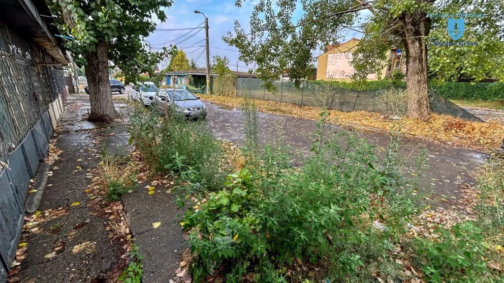 Se reabilitează carosabilul și trotuarele pe strada Theodor Neculuță din cartierul Palas – foto 2