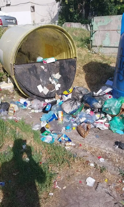 Semnal de alarmă în privința containerelor vandalizate în Constanța – foto 3