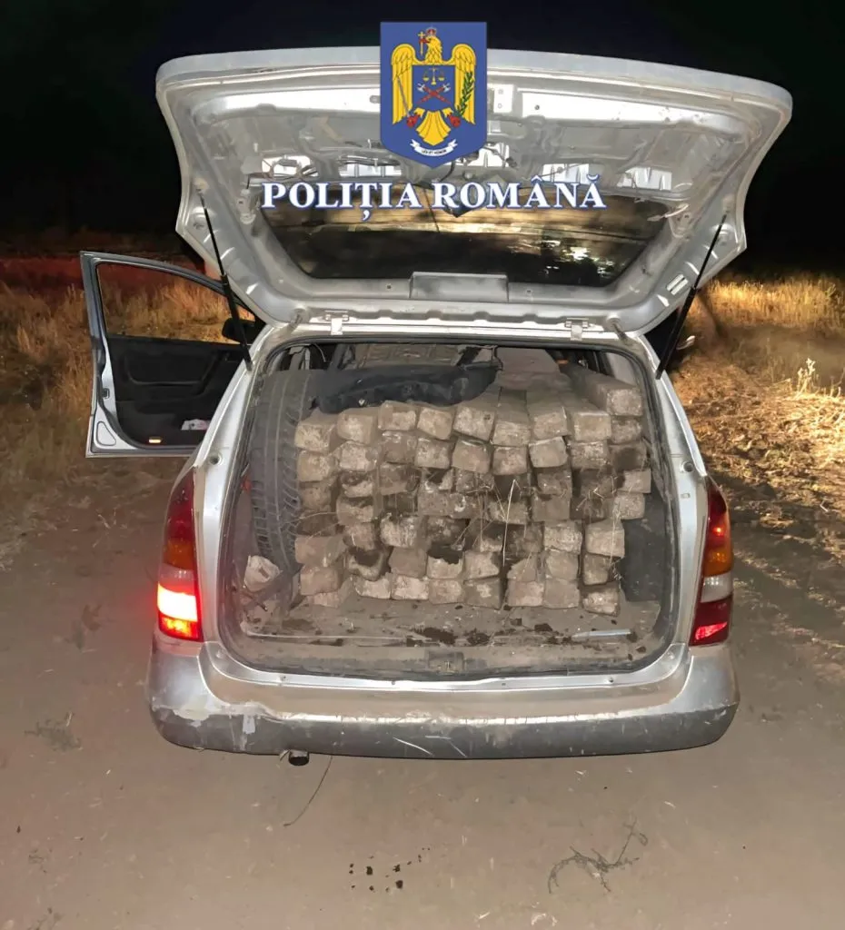 Prinși la furat de șpalieri, în Murfatlar – foto 3