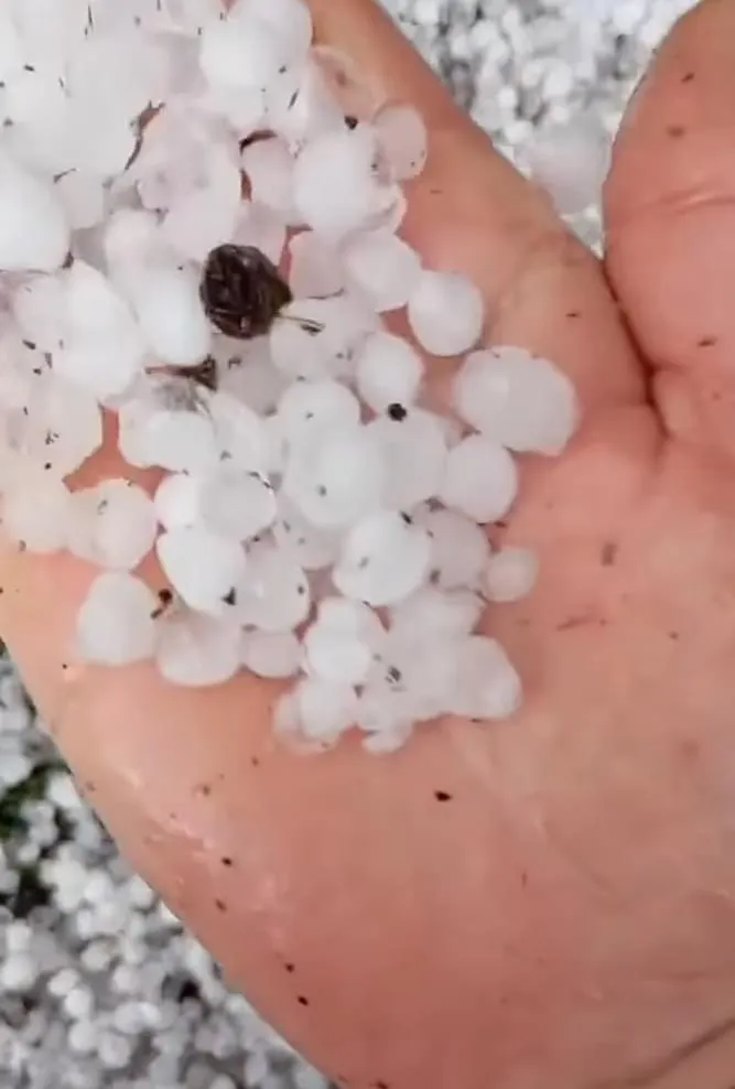 Vremea a schimbat foaia. Vijelii, grindină și inundații în multe zone din țară (FOTO) – foto 11