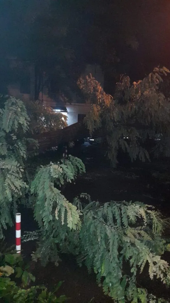 Vremea a schimbat foaia. Vijelii, grindină și inundații în multe zone din țară (FOTO) – foto 8
