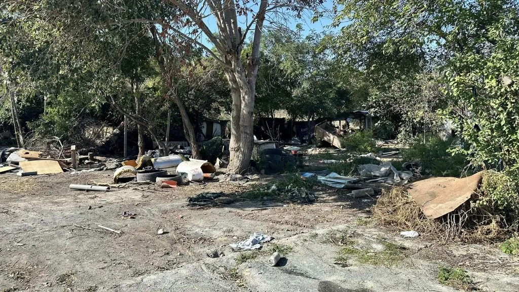 Zona lacului Tașaul va fi transformată în spații verzi, cu zone de relaxare și grătare – foto 2