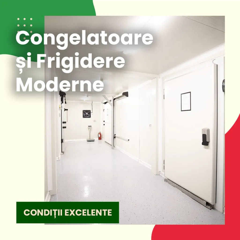 Golden Meat Supplier îți distribuie în timp record produsele preferate de tine! – foto 14