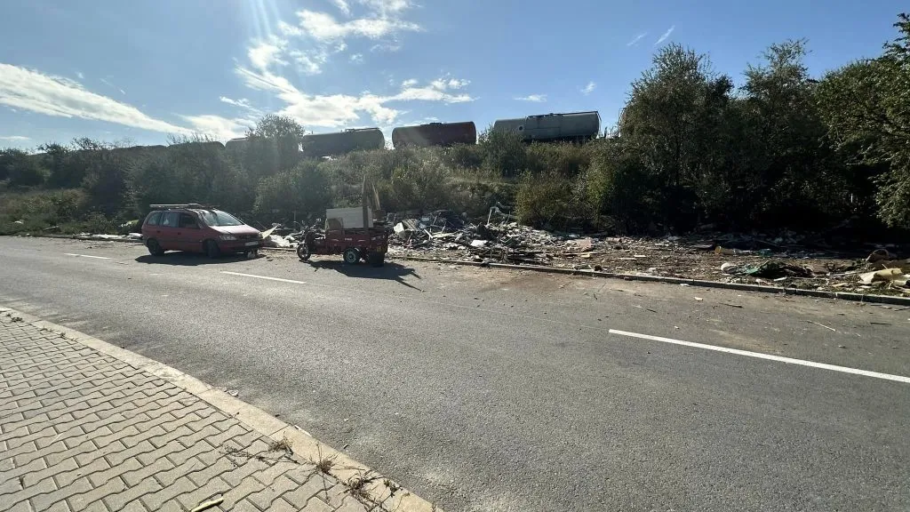Zona lacului Tașaul va fi transformată în spații verzi, cu zone de relaxare și grătare – foto 3