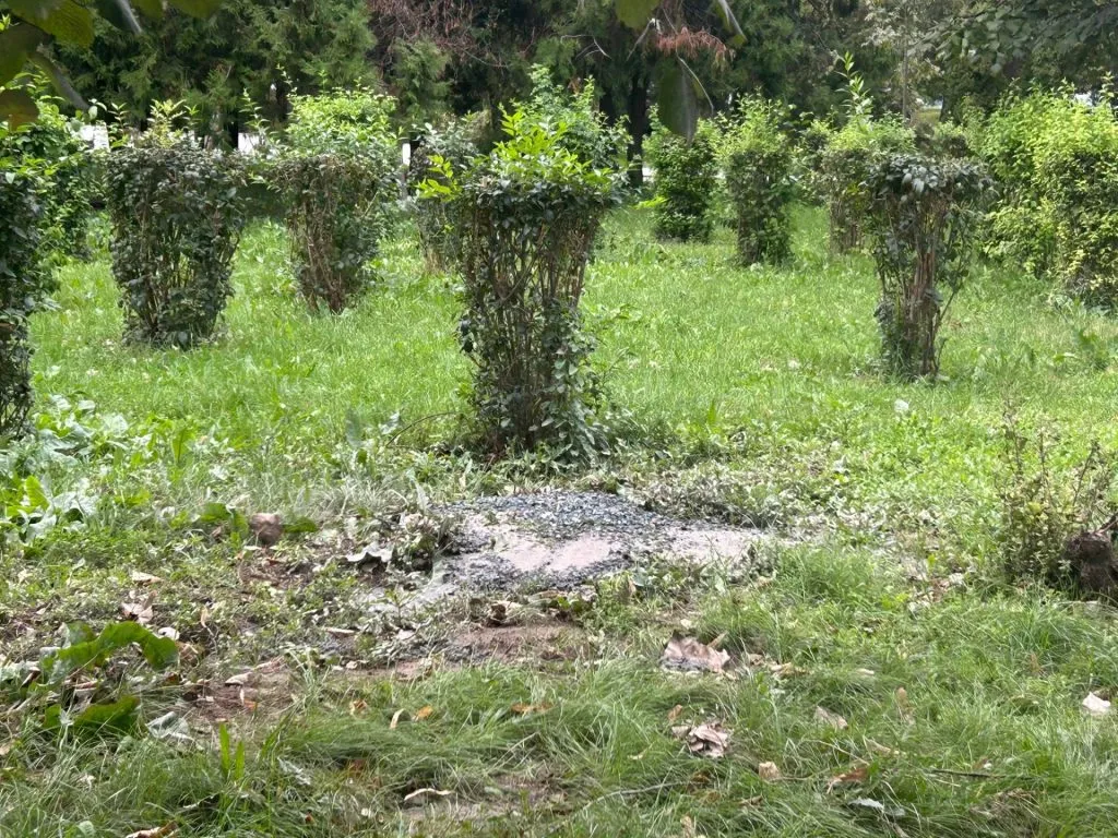 Dar cu iarba ce-ați avut?! (FOTO)  – foto 9