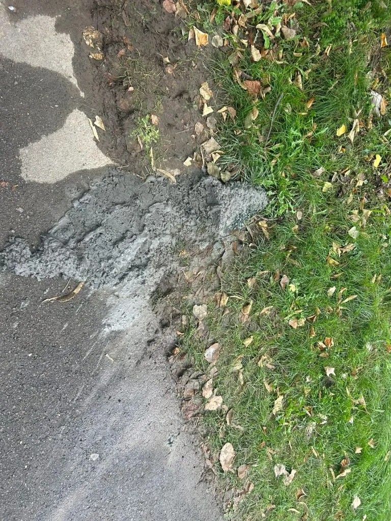Dar cu iarba ce-ați avut?! (FOTO)  – foto 7
