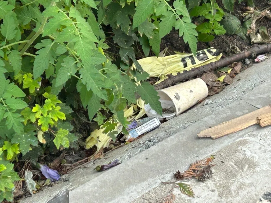 Dar cu iarba ce-ați avut?! (FOTO)  – foto 2