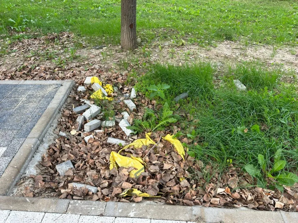Dar cu iarba ce-ați avut?! (FOTO)  – foto 4