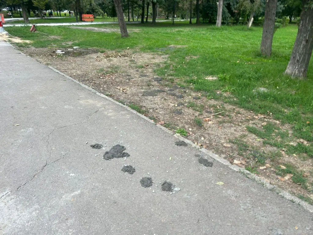 Dar cu iarba ce-ați avut?! (FOTO)  – foto 6