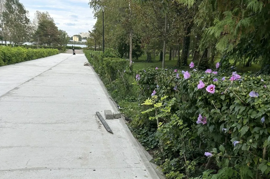 Dar cu iarba ce-ați avut?! (FOTO)  – foto 18