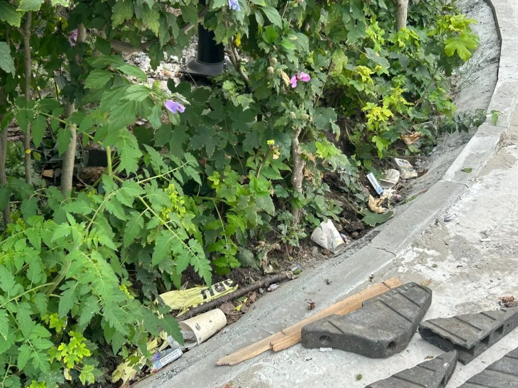 Dar cu iarba ce-ați avut?! (FOTO)  – foto 5