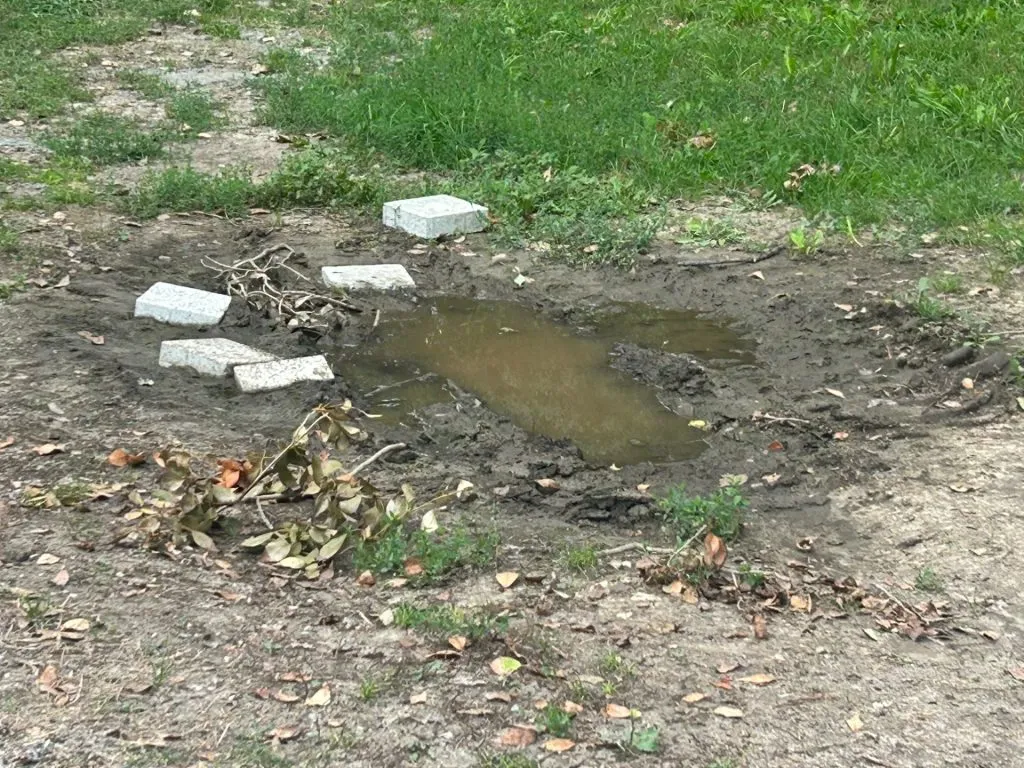 Dar cu iarba ce-ați avut?! (FOTO)  – foto 14