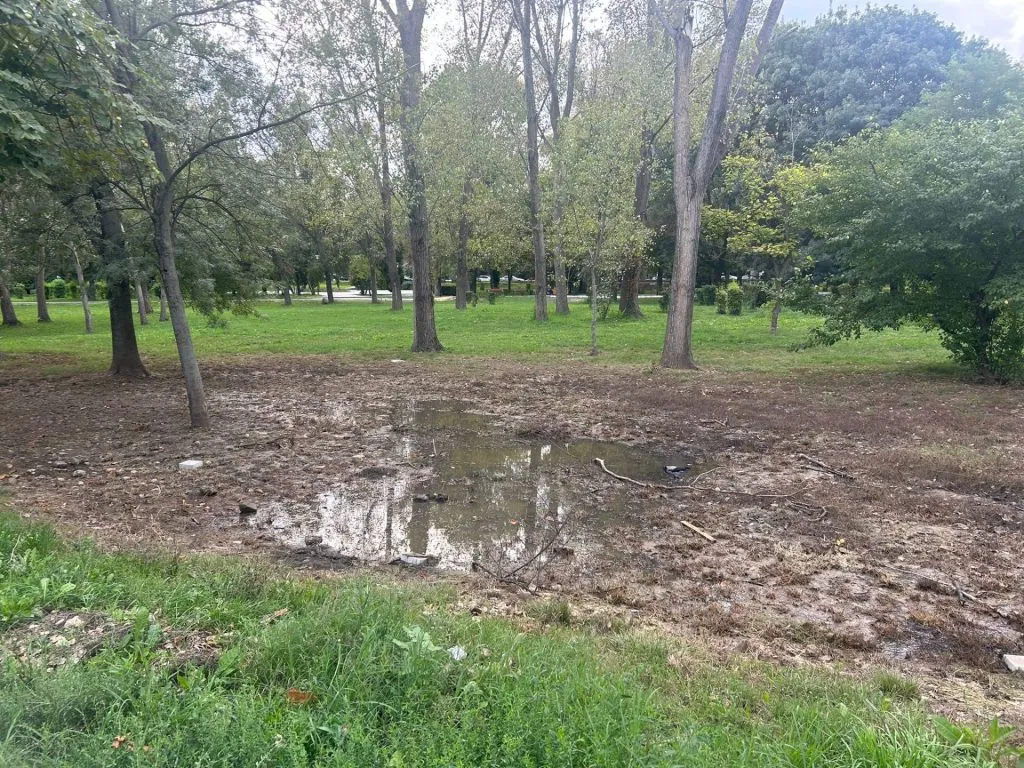 Dar cu iarba ce-ați avut?! (FOTO)  – foto 13