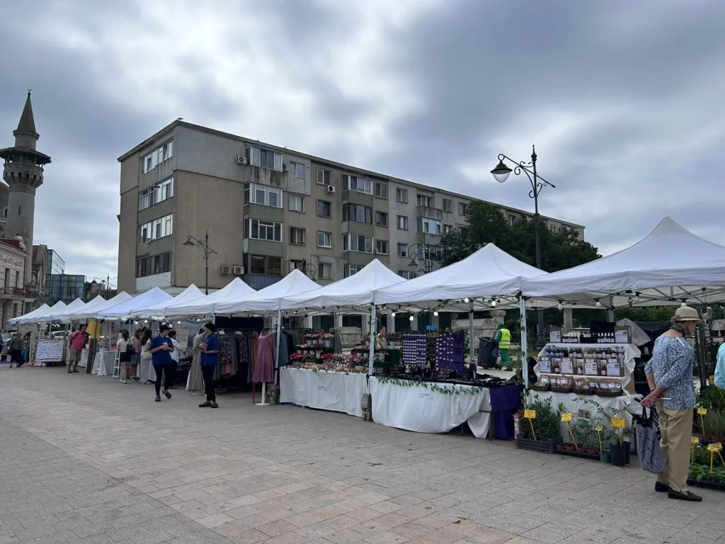 LAVANDA FEST în Piața Ovidiu, din Constanța (FOTO) – foto 6