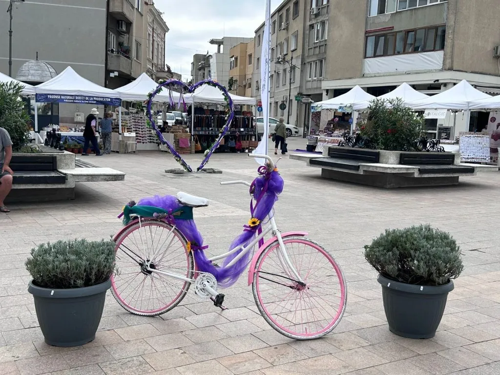 LAVANDA FEST în Piața Ovidiu, din Constanța (FOTO) – foto 2