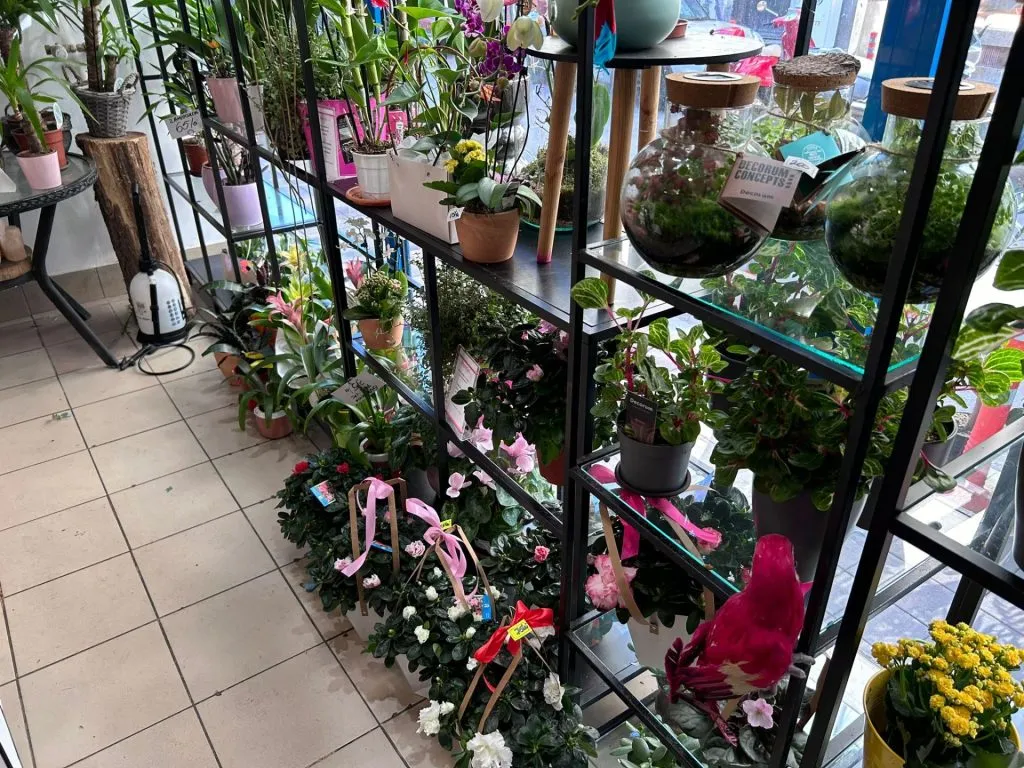 Florăriile din Constanța, asaltate de părinți în prima zi de școală (FOTO/VIDEO) – foto 2