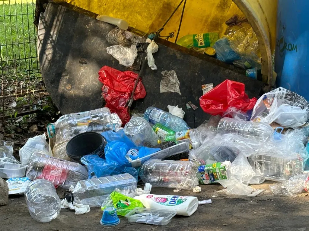 Reciclarea transformată în psihoză. Container vandalizat în goana după PET-uri – foto 3