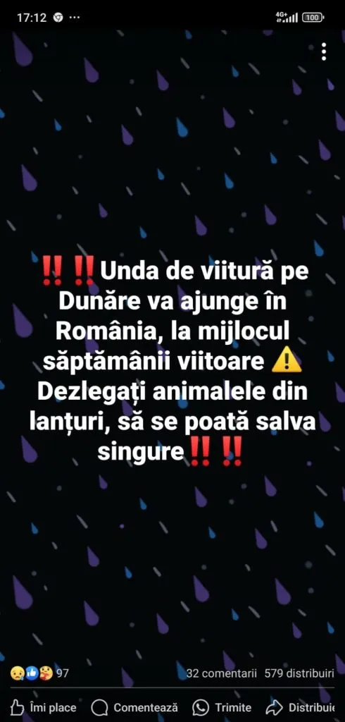 Dezlegați și salvați: Câinii înlănțuiți, morți în inundații! (FOTO) – foto 2