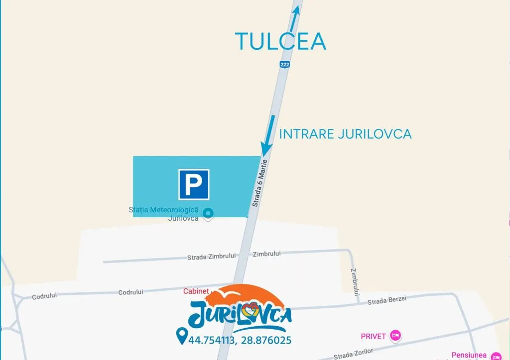 4 parcări cu 25.000 de locuri, pentru participanții la Festivalul Borșului Lipovenesc de Jurilovca – foto 3
