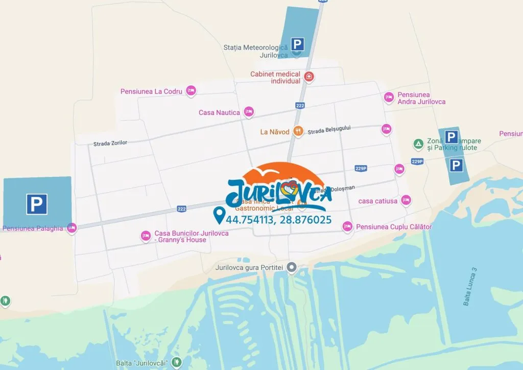 4 parcări cu 25.000 de locuri, pentru participanții la Festivalul Borșului Lipovenesc de Jurilovca – foto 5