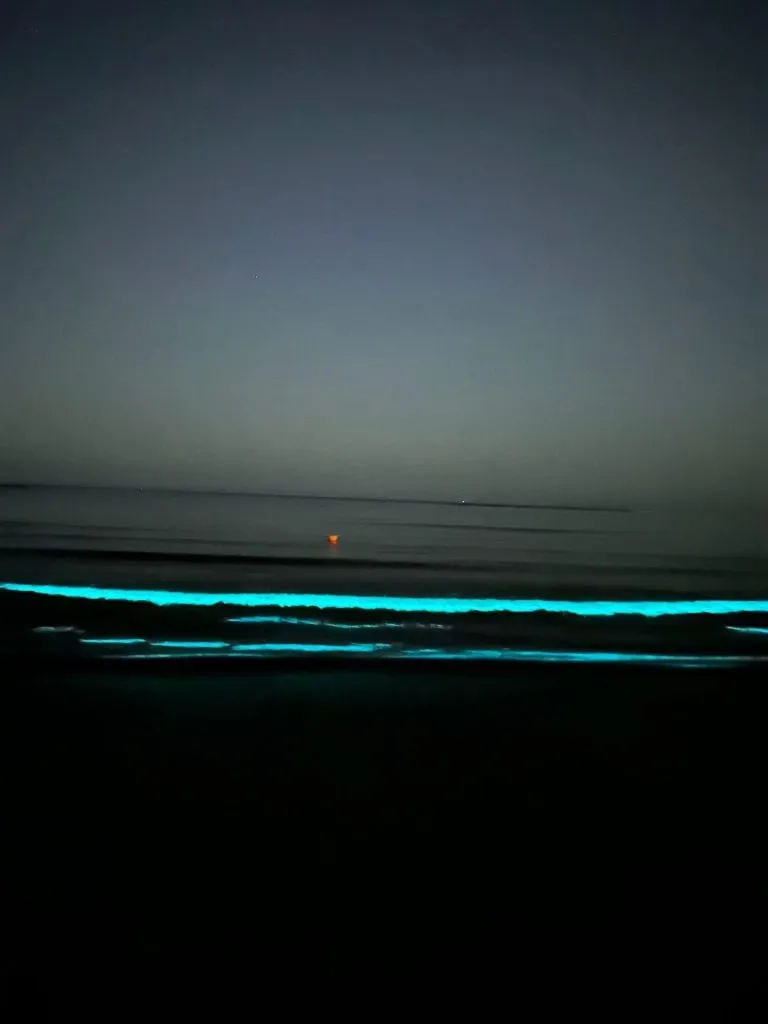 Spectacolul naturii, la malul mării: Bioluminiscența (FOTO) – foto 3