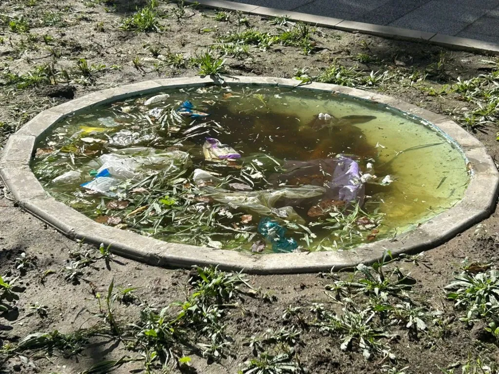 „Proiect” de Constanța: „Ligheanul” destinat deșeurilor care n-au unde să plutească atunci când NU plouă – foto 7