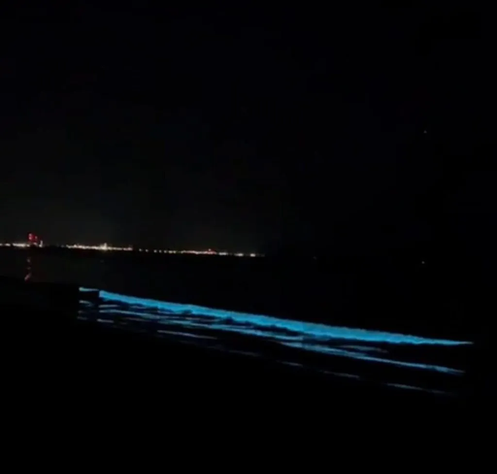 Spectacolul naturii, la malul mării: Bioluminiscența (FOTO) – foto 4